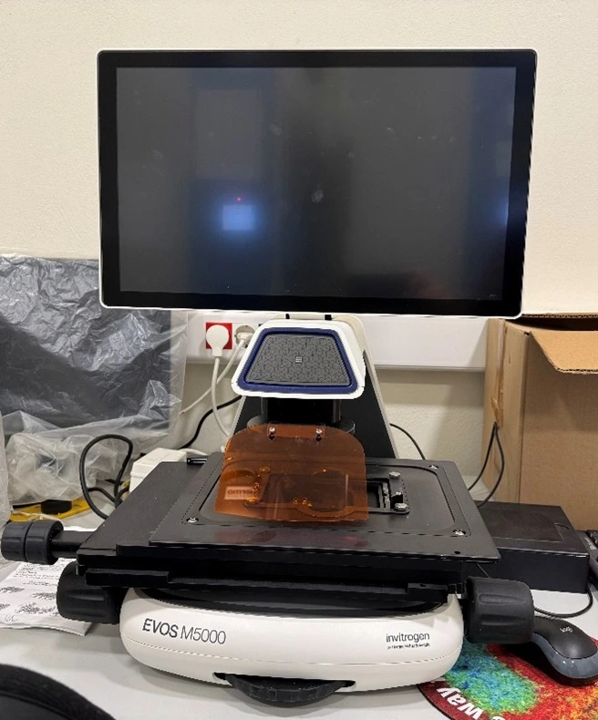 Σύστημα απεικόνισης κυτταροκαλλιεργειών EVOS M5000 Σύστημα απεικόνισης κυτταροκαλλιεργειών EVOS M5000